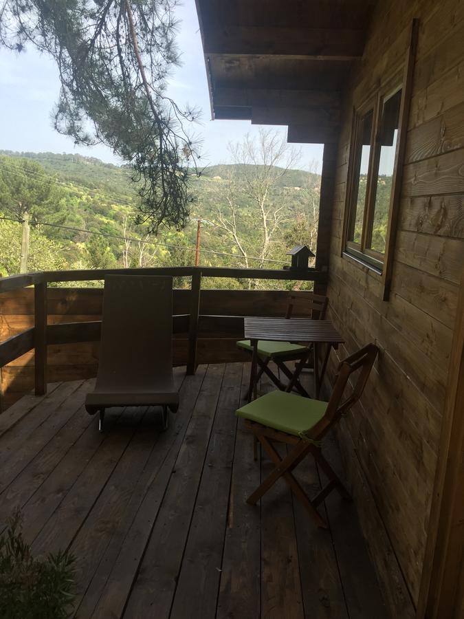 Gites Les Chalets Vezzani Spa Eksteriør bilde